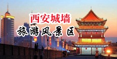 双飞淫荡骚小穴中国陕西-西安城墙旅游风景区